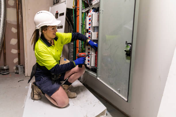Best Affordable Emergency Electrician  in Roseau, MN