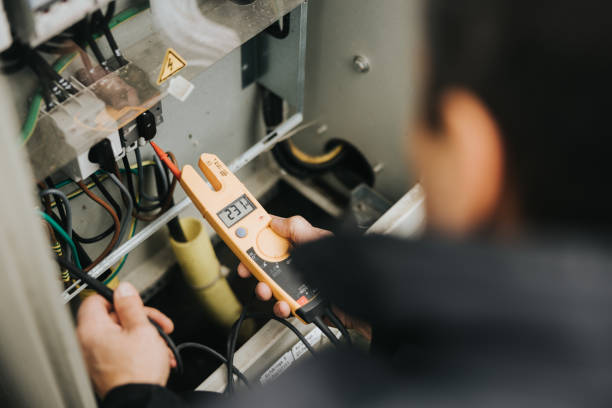 Best Electrician Near Me  in Roseau, MN