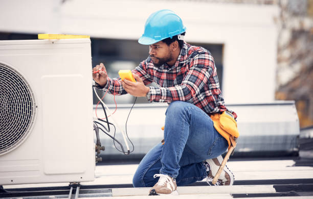 Best Licensed Electrician  in Roseau, MN