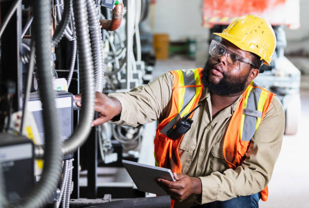 Best Electrical Repair Services  in Roseau, MN