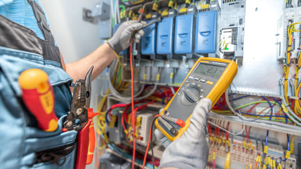 Best Emergency Electrician Near Me  in Roseau, MN