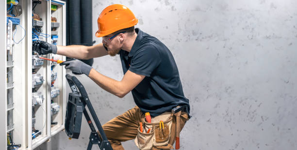Best Residential Electrician Services  in Roseau, MN